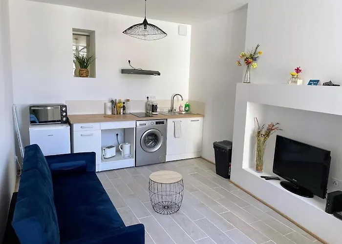 شقة Le Cosy - T2 Avec Petite Cour Dans Centre Historique De Nérac